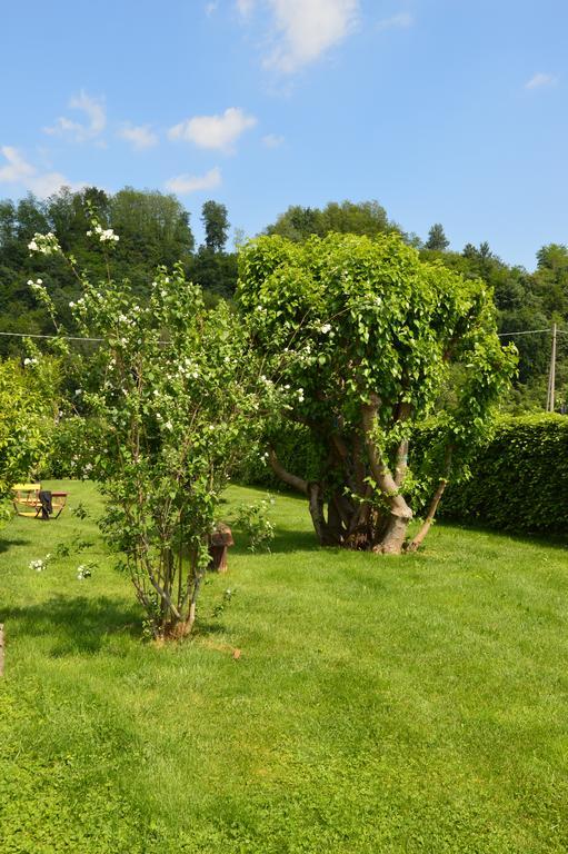 Agriturismo Morgan Montebelluna Exterior foto