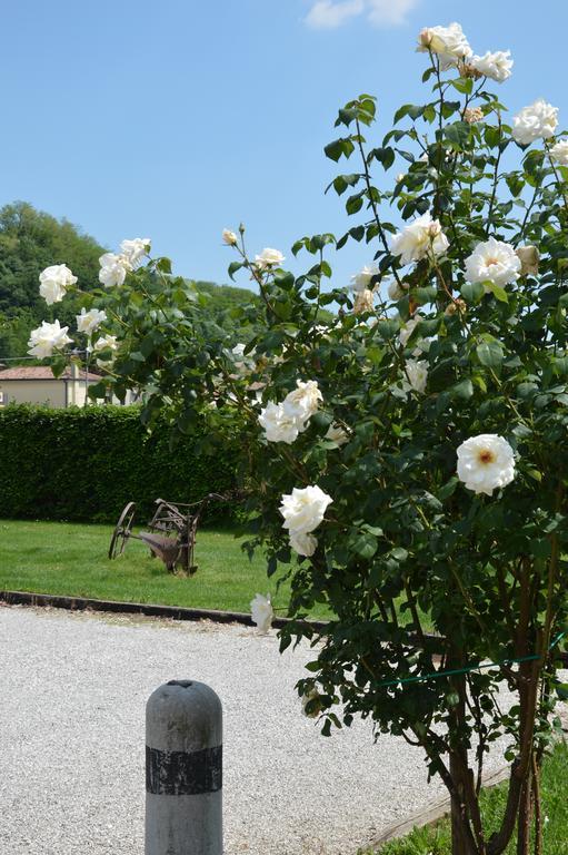 Agriturismo Morgan Montebelluna Exterior foto