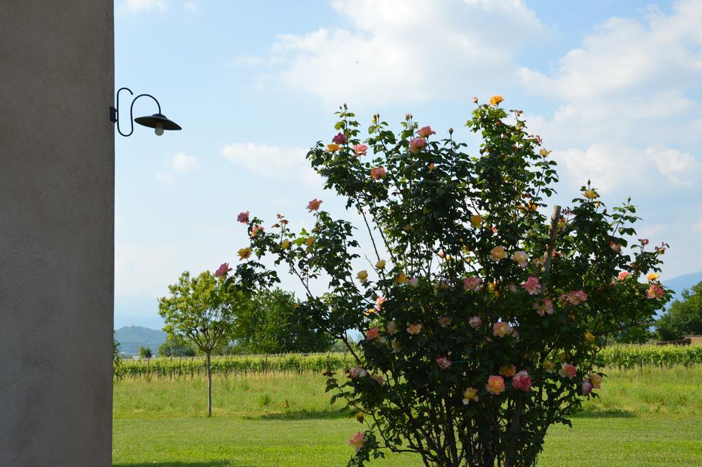 Agriturismo Morgan Montebelluna Exterior foto