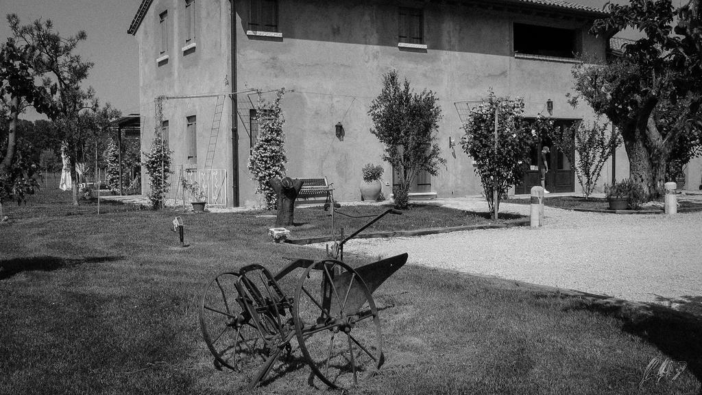 Agriturismo Morgan Montebelluna Exterior foto